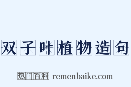 双子叶植物造句是什么意思的图片
